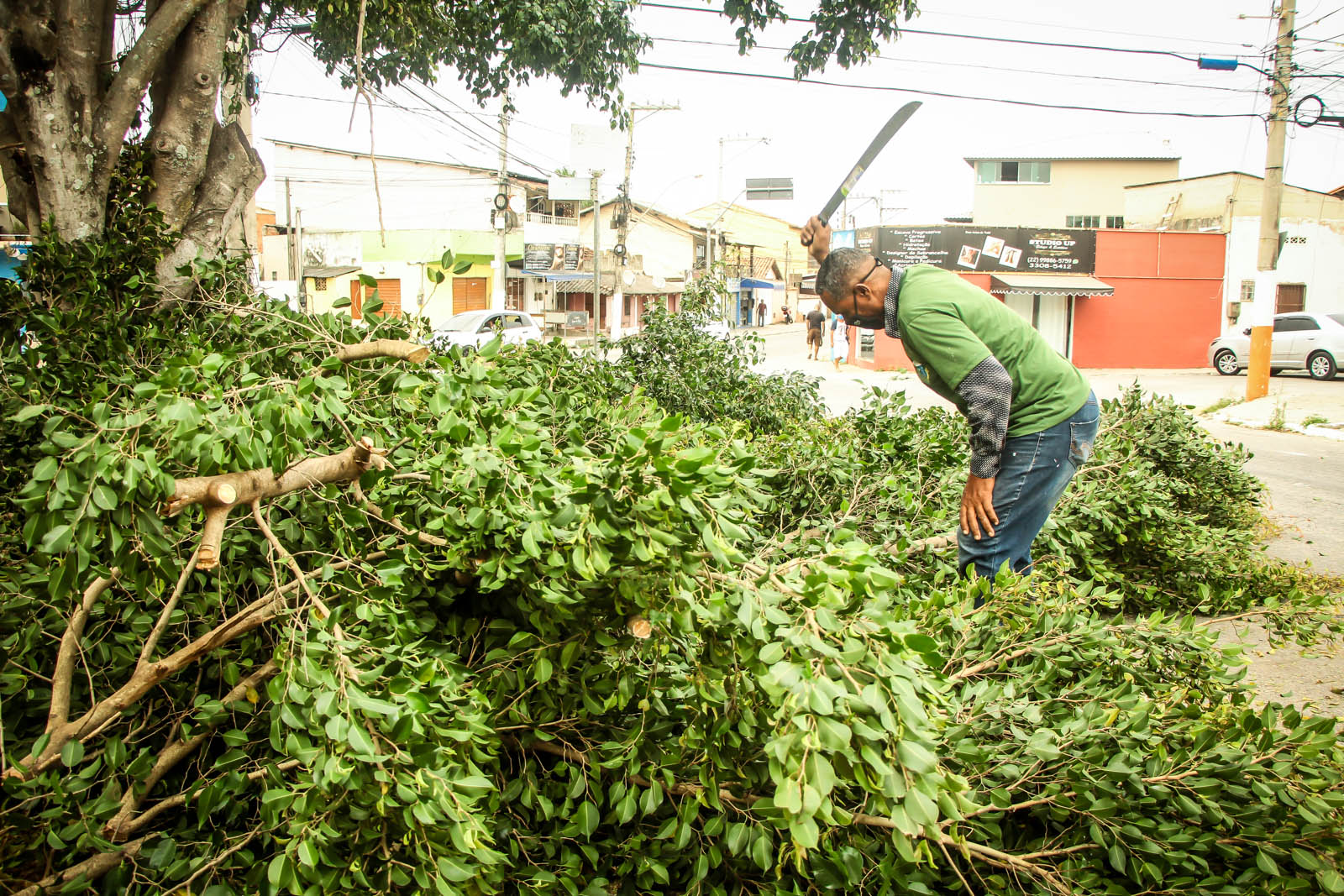 Meio Ambiente realiza serviços de poda de árvores na Praça Verde em São Pedro da Aldeia