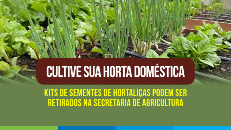 Prefeitura de São Pedro da Aldeia disponibiliza 300 kits de sementes de hortaliças para o plantio de hortas domésticas