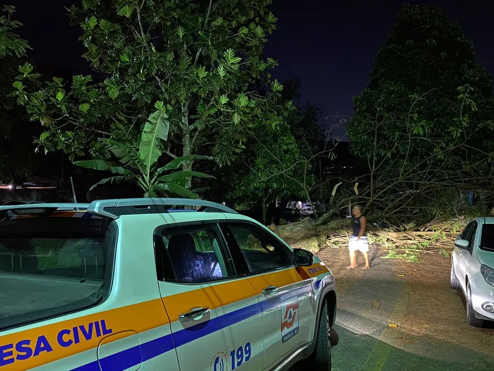 Árvore cai, atinge dois carros e deixa trânsito interditado em Maricá
